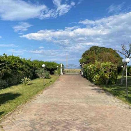 Villa Rosella Appartamento 2 - Con Piscina - 150 M Dal Mare Casa Margherita Buitenkant foto