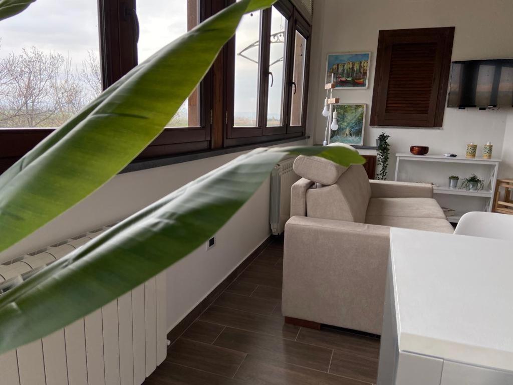 Villa Rosella Appartamento 2 - Con Piscina - 150 M Dal Mare Casa Margherita Buitenkant foto